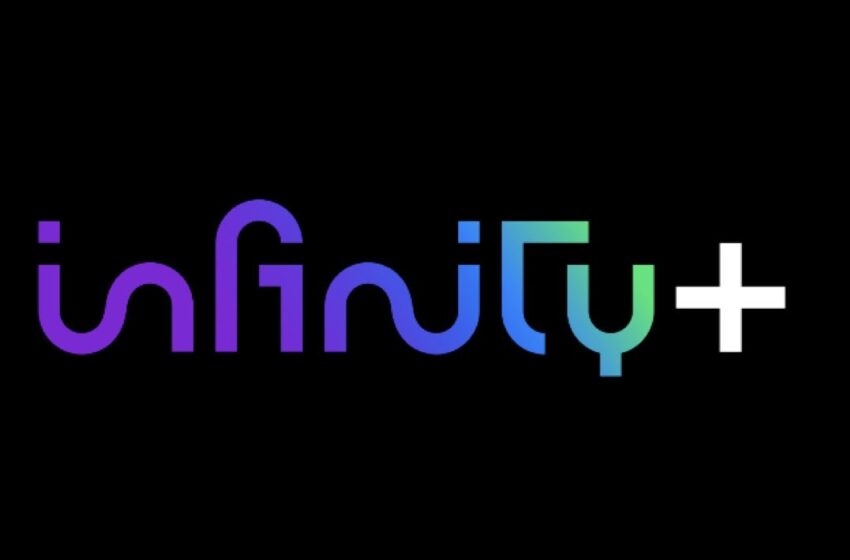  Il mondo dell’intrattenimento online e la personalizzazione: il caso studio di Infinity+