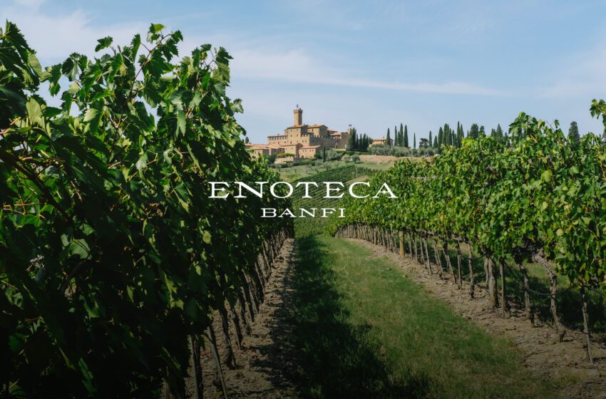  Nasce “Enoteca Banfi”, l’e-commerce della prestigiosa casa vinicola di Montalcino: a firmarlo è Publifarm