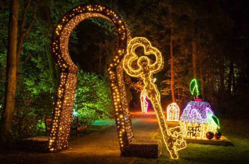  Il Paese delle Meraviglie illumina Milano: svelata la data di apertura di Lumina Park!