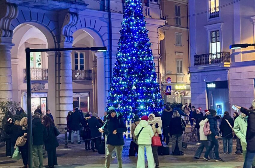  Alessandria si illumina per le feste: l’albero di Natale donato da Paglieri accende la magia natalizia in Piazza della Libertà