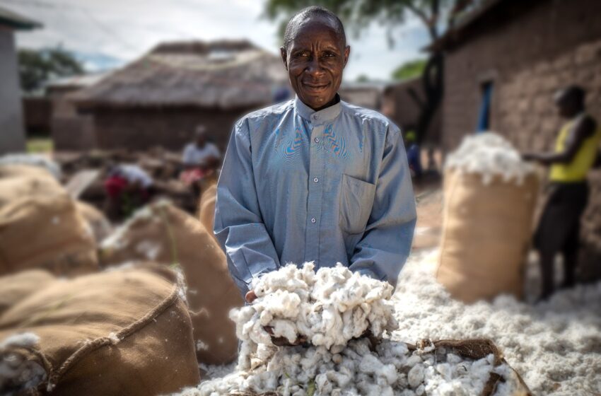  TextileGenesis di Lectra e Aid by Trade Foundation collaborano per migliorare la tracciabilità della fibra Cotton made in Africa® (CmiA)