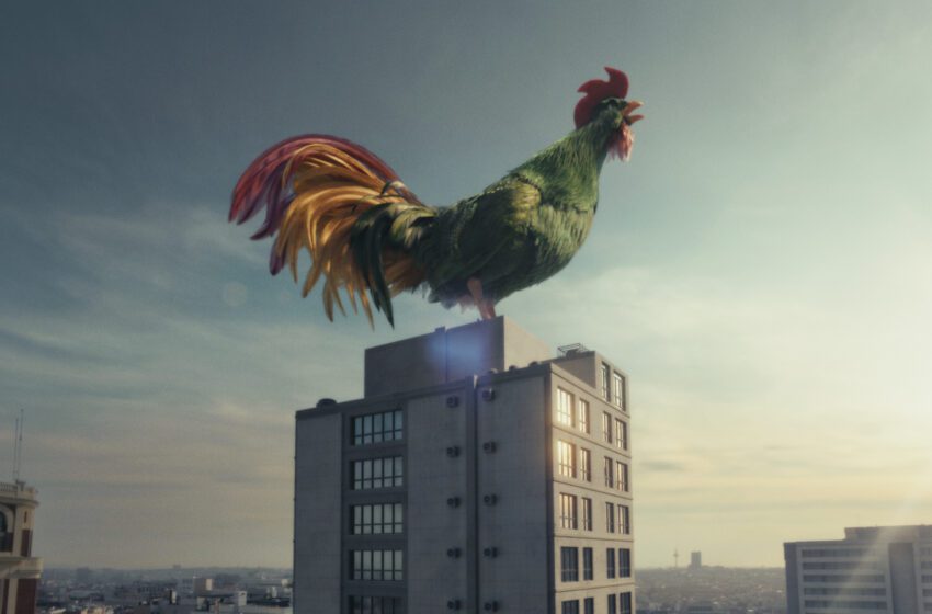  Il Gallo Cornelius di Kellogg’s rinnova il suo look e torna a svegliare milioni di persone a colazione